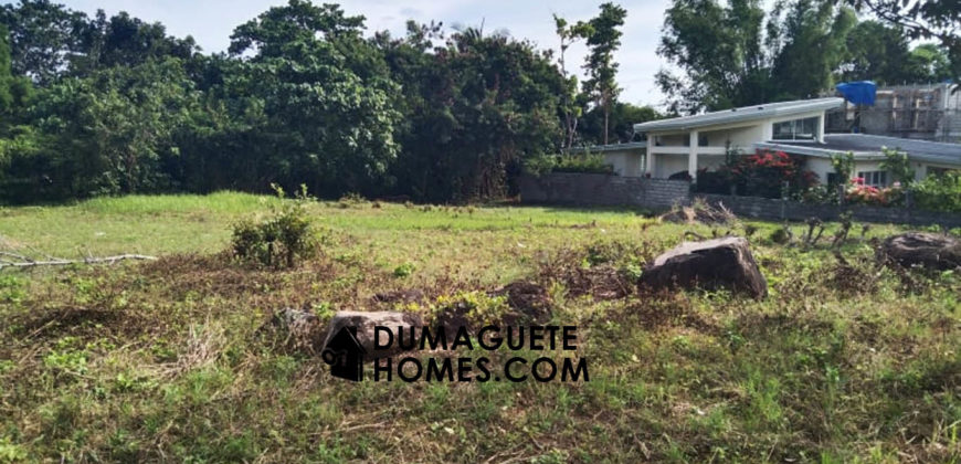 MOUNTAIN VIEW ESTATE BUILDING LOT IN DAUIN  – S O L  D –