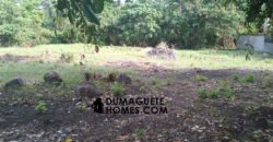 MOUNTAIN VIEW ESTATE BUILDING LOT IN DAUIN  – S O L  D –