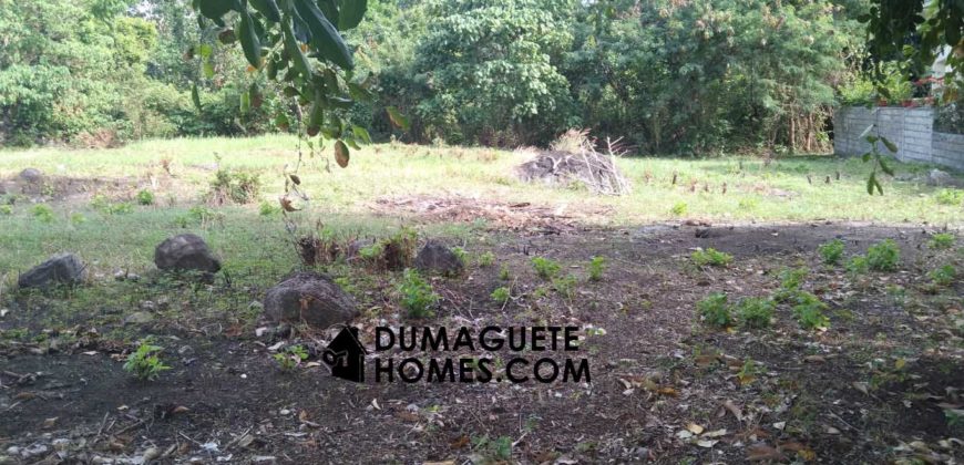 MOUNTAIN VIEW ESTATE BUILDING LOT IN DAUIN  – S O L  D –