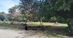 MOUNTAIN VIEW ESTATE BUILDING LOT IN DAUIN  – S O L  D –