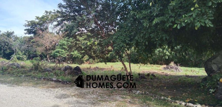 MOUNTAIN VIEW ESTATE BUILDING LOT IN DAUIN  – S O L  D –