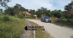 MOUNTAIN VIEW ESTATE BUILDING LOT IN DAUIN  – S O L  D –