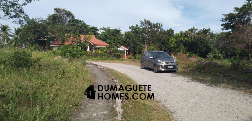 MOUNTAIN VIEW ESTATE BUILDING LOT IN DAUIN  – S O L  D –