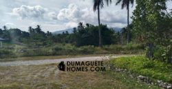 MOUNTAIN VIEW ESTATE BUILDING LOT IN DAUIN  – S O L  D –