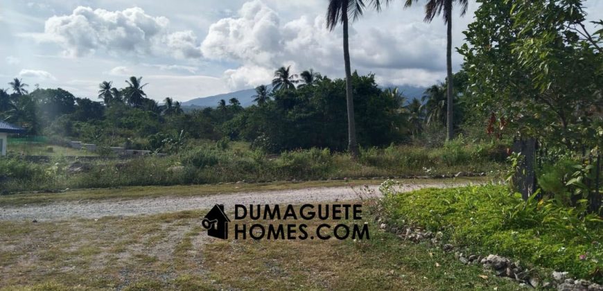 MOUNTAIN VIEW ESTATE BUILDING LOT IN DAUIN  – S O L  D –