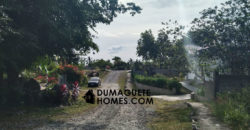 MOUNTAIN VIEW ESTATE BUILDING LOT IN DAUIN  – S O L  D –