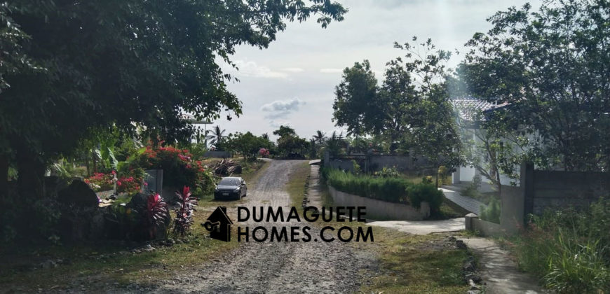 MOUNTAIN VIEW ESTATE BUILDING LOT IN DAUIN  – S O L  D –