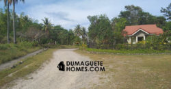 MOUNTAIN VIEW ESTATE BUILDING LOT IN DAUIN  – S O L  D –