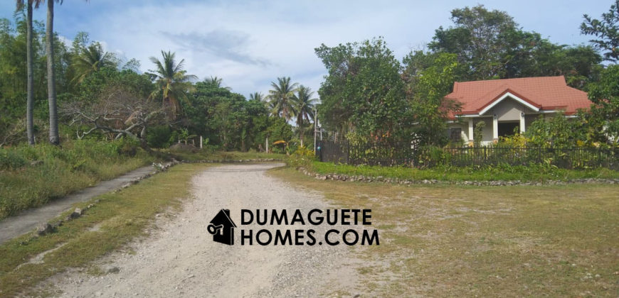 MOUNTAIN VIEW ESTATE BUILDING LOT IN DAUIN  – S O L  D –