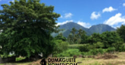 MOUNTAIN VIEW ESTATE BUILDING LOT IN DAUIN  – S O L  D –