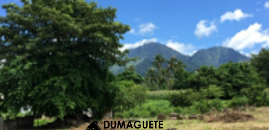 MOUNTAIN VIEW ESTATE BUILDING LOT IN DAUIN  – S O L  D –