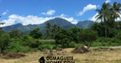 MOUNTAIN VIEW ESTATE BUILDING LOT IN DAUIN  – S O L  D –