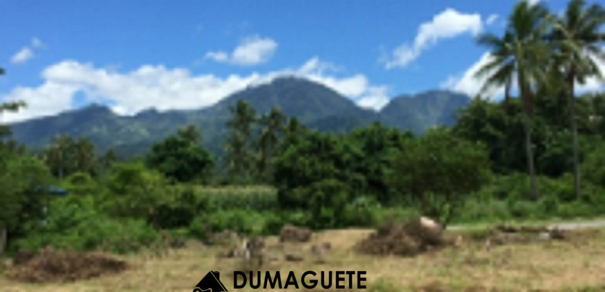 MOUNTAIN VIEW ESTATE BUILDING LOT IN DAUIN  – S O L  D –