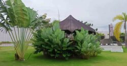 BEAUTIFUL OCEAN VIEW BIG HOUSE WITH SWIMMING POOL FOR SALE