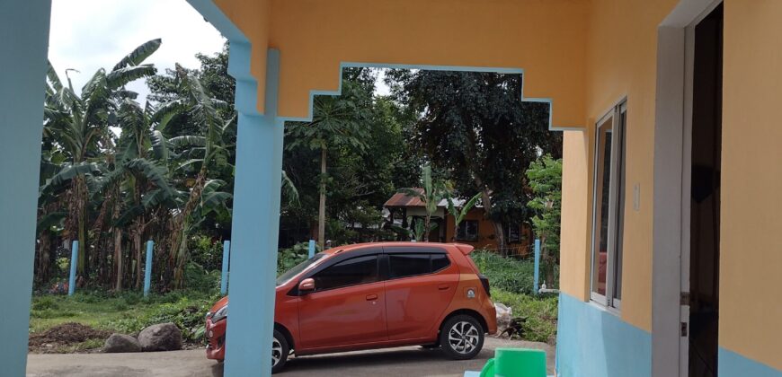 FOR SALE‼️ HOUSE & LOT IN BACONG