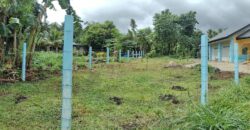 FOR SALE‼️ HOUSE & LOT IN BACONG