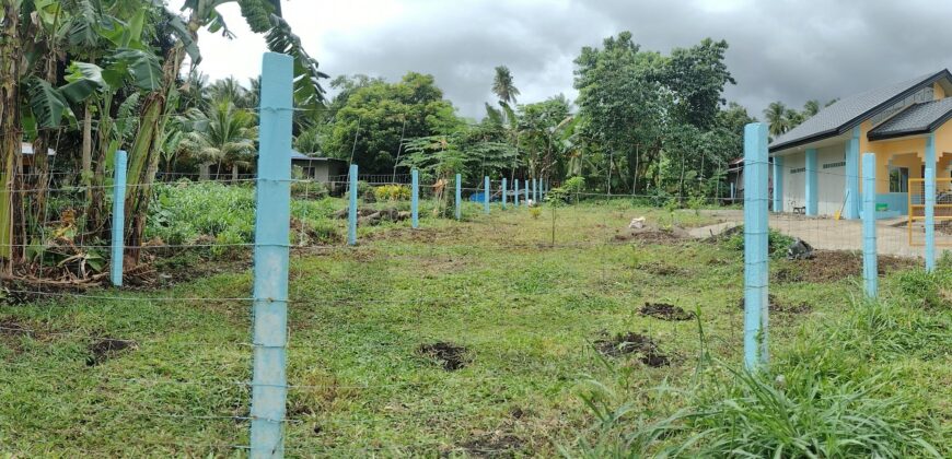 FOR SALE‼️ HOUSE & LOT IN BACONG