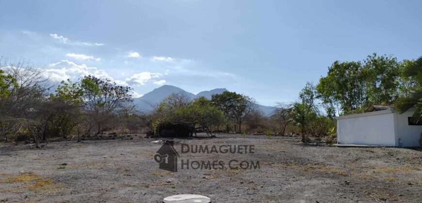 BUILDING LOTS WITH AN AMAZING VIEW OF MOUNT TALINIS AND SIQUIJOR ISLAND