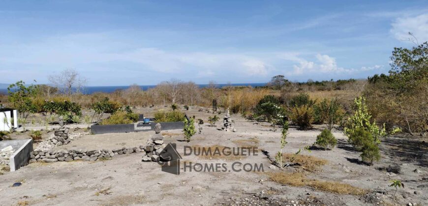 BUILDING LOTS WITH AN AMAZING VIEW OF MOUNT TALINIS AND SIQUIJOR ISLAND