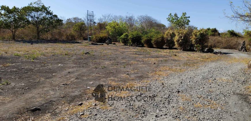 BUILDING LOTS WITH AN AMAZING VIEW OF MOUNT TALINIS AND SIQUIJOR ISLAND