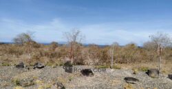 BUILDING LOTS WITH AN AMAZING VIEW OF MOUNT TALINIS AND SIQUIJOR ISLAND