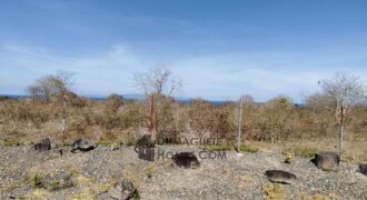 BUILDING LOTS WITH AN AMAZING VIEW OF MOUNT TALINIS AND SIQUIJOR ISLAND