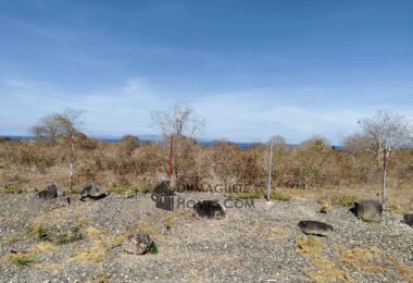 BUILDING LOTS WITH AN AMAZING VIEW OF MOUNT TALINIS AND SIQUIJOR ISLAND