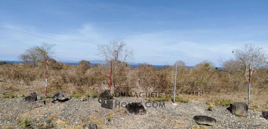 BUILDING LOTS WITH AN AMAZING VIEW OF MOUNT TALINIS AND SIQUIJOR ISLAND