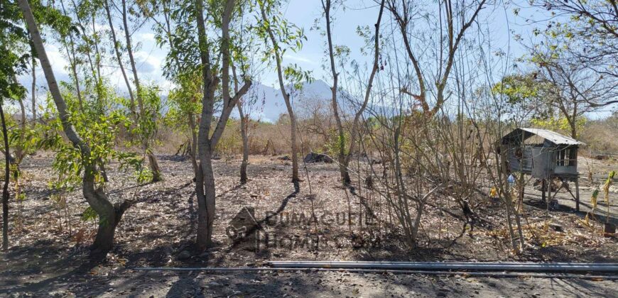 BUILDING LOTS WITH AN AMAZING VIEW OF MOUNT TALINIS AND SIQUIJOR ISLAND