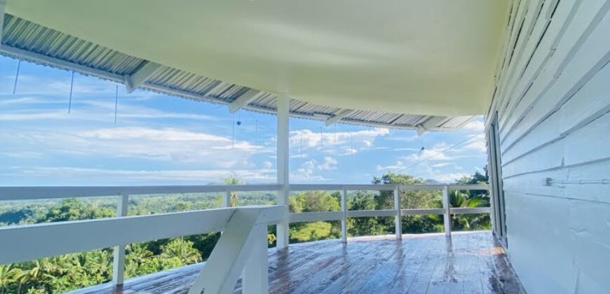 FOR SALE‼️ – HIGHLAND PROPERTY IN SIQUIJOR WITH AN AMAZING VIEW OF LAZI BAY AND MINDANAO