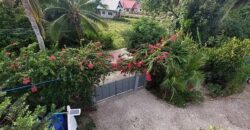 FOR SALE!! PROPERTY IN SIQUIJOR