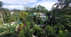 FOR SALE!! PROPERTY IN SIQUIJOR