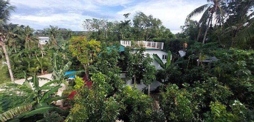 FOR SALE!! PROPERTY IN SIQUIJOR