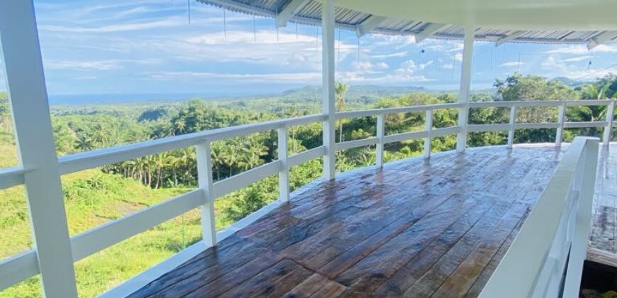 FOR SALE‼️ – HIGHLAND PROPERTY IN SIQUIJOR WITH AN AMAZING VIEW OF LAZI BAY AND MINDANAO