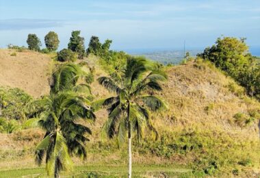 FOR SALE‼️ – HIGHLAND PROPERTY IN SIQUIJOR WITH AN AMAZING VIEW OF LAZI BAY AND MINDANAO