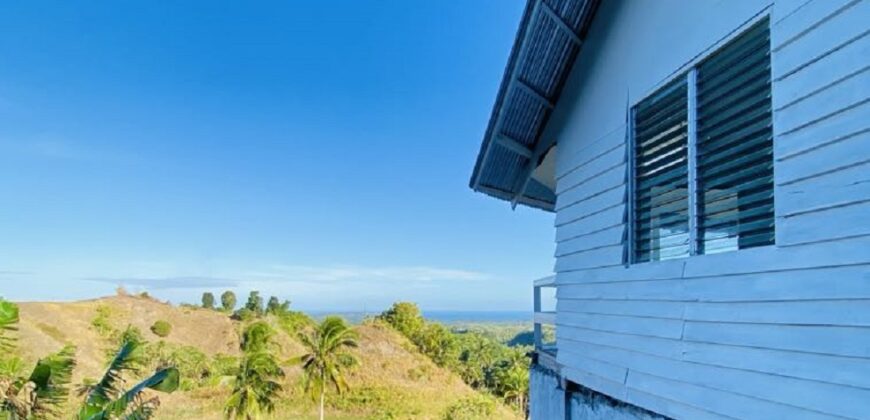 FOR SALE‼️ – HIGHLAND PROPERTY IN SIQUIJOR WITH AN AMAZING VIEW OF LAZI BAY AND MINDANAO