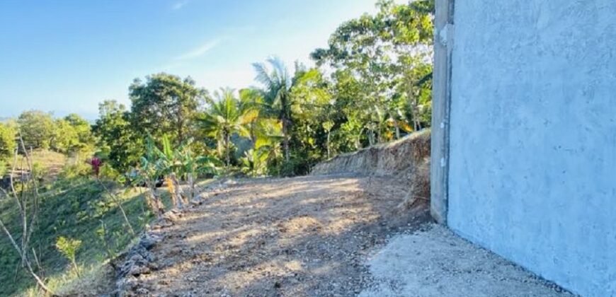 FOR SALE‼️ – HIGHLAND PROPERTY IN SIQUIJOR WITH AN AMAZING VIEW OF LAZI BAY AND MINDANAO