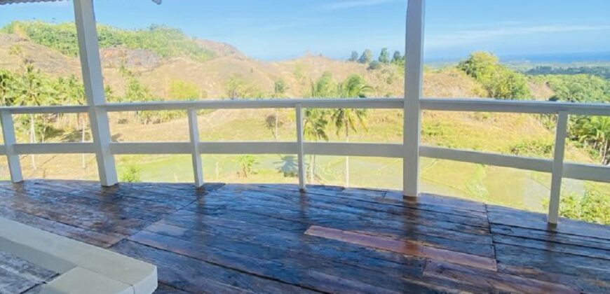 FOR SALE‼️ – HIGHLAND PROPERTY IN SIQUIJOR WITH AN AMAZING VIEW OF LAZI BAY AND MINDANAO