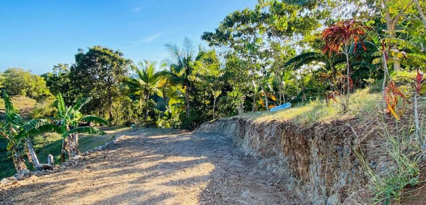 FOR SALE‼️ – HIGHLAND PROPERTY IN SIQUIJOR WITH AN AMAZING VIEW OF LAZI BAY AND MINDANAO