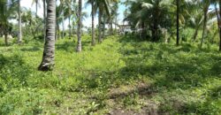 FOR SALE‼️ – BUILDING LOT CLOSE TO DAUIN TOWN