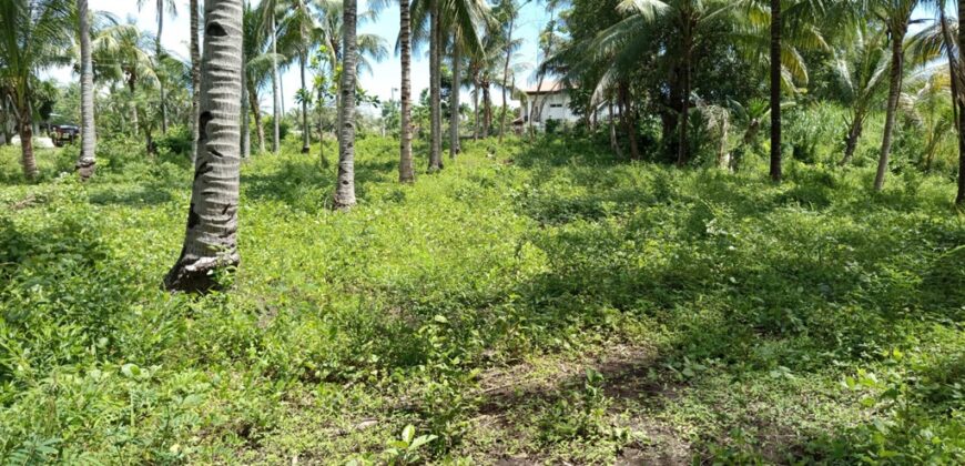 FOR SALE‼️ – BUILDING LOT CLOSE TO DAUIN TOWN