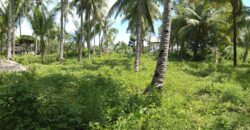 FOR SALE‼️ – BUILDING LOT CLOSE TO DAUIN TOWN