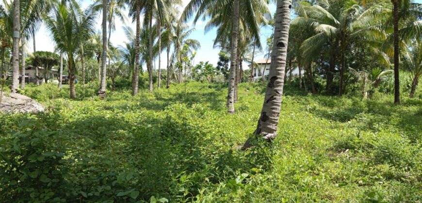 FOR SALE‼️ – BUILDING LOT CLOSE TO DAUIN TOWN