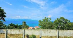 FOR SALE – Sibulan Overlooking House & 1493 Sq Meter Lot With Clean Title