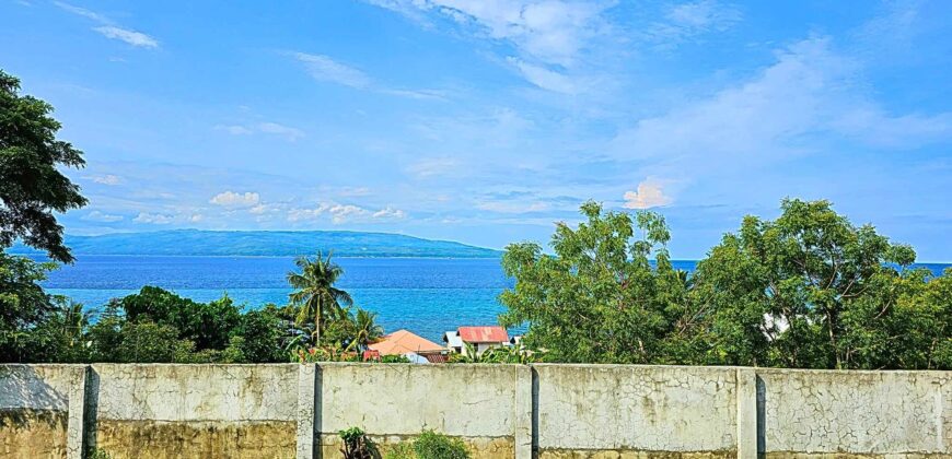 FOR SALE – Sibulan Overlooking House & 1493 Sq Meter Lot With Clean Title