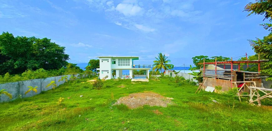 FOR SALE – Sibulan Overlooking House & 1493 Sq Meter Lot With Clean Title