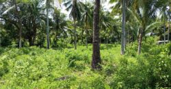 FOR SALE‼️ – BUILDING LOT CLOSE TO DAUIN TOWN