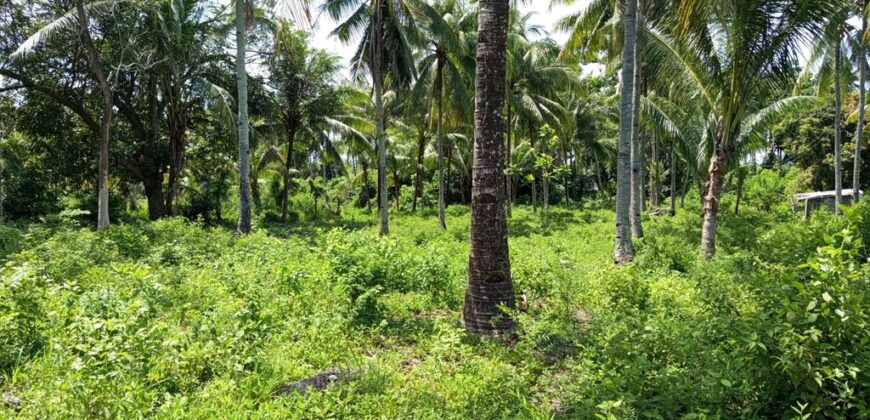 FOR SALE‼️ – BUILDING LOT CLOSE TO DAUIN TOWN