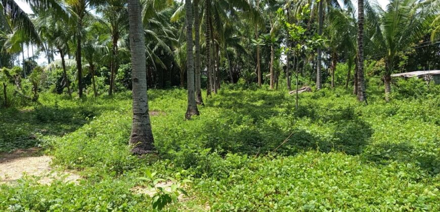 FOR SALE‼️ – BUILDING LOT CLOSE TO DAUIN TOWN