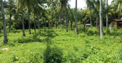 FOR SALE‼️ – BUILDING LOT CLOSE TO DAUIN TOWN